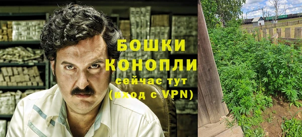 прущая мука Богданович