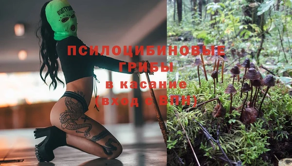 MESCALINE Богородицк