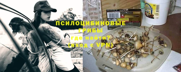 прущая мука Богданович