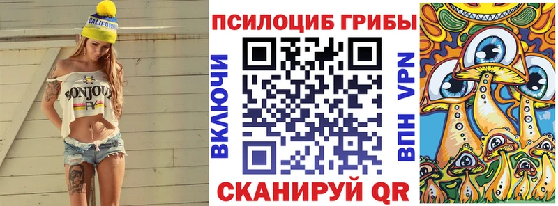 Галлюциногенные грибы GOLDEN TEACHER  darknet какой сайт  Дубовка  где купить наркоту 