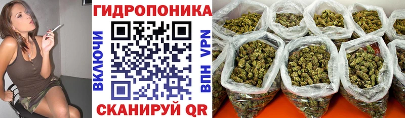 купить наркотик  kraken   Канабис AK-47  Дубовка 